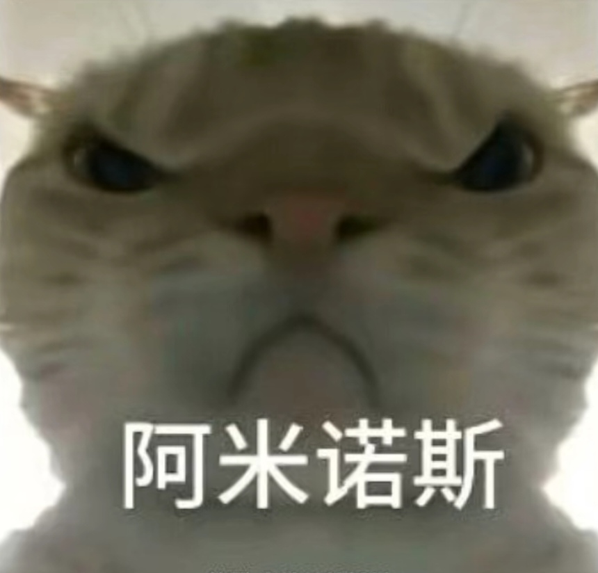 在战术执行