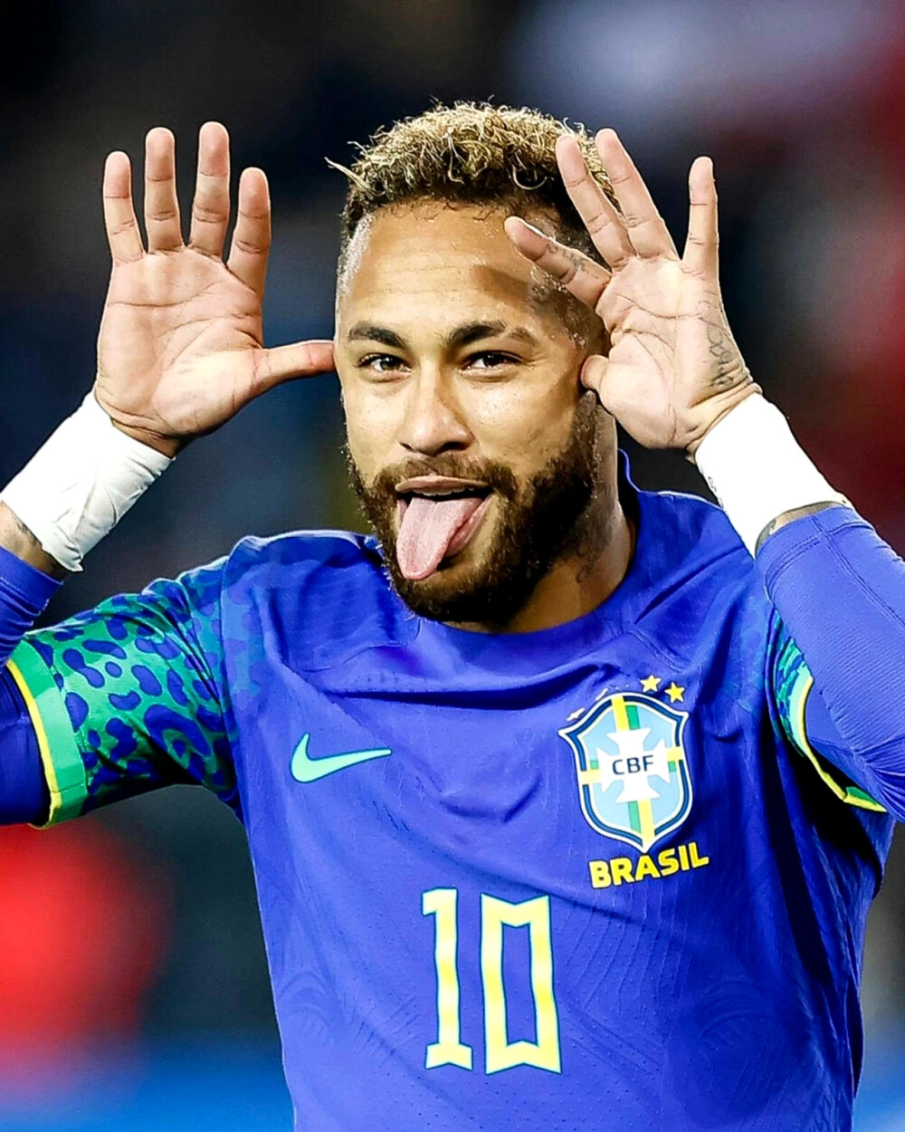 阿根廷形成 阿根廷形成