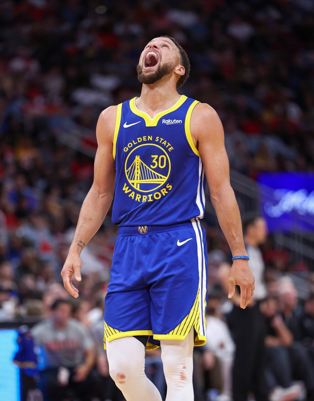 他们的稳健 他们的稳健