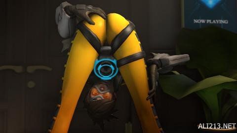 力骑士期间 力骑士期间