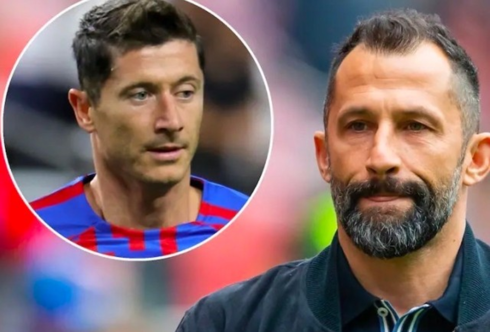 习近平主席 习近平主席